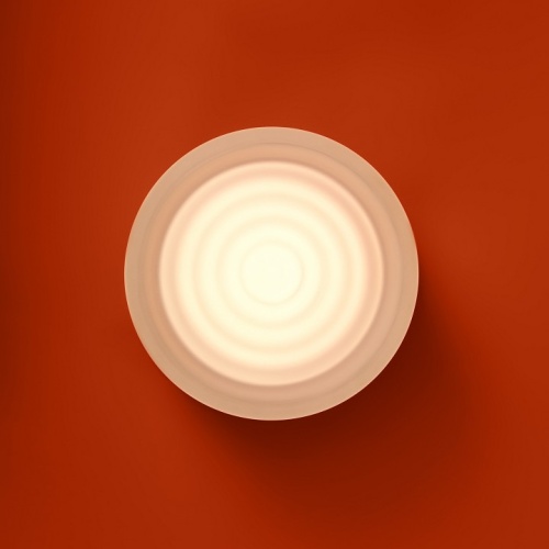 Накладной светильник Freya Retro FR5603WL-L8W1 в Нижнем Новгороде фото 4