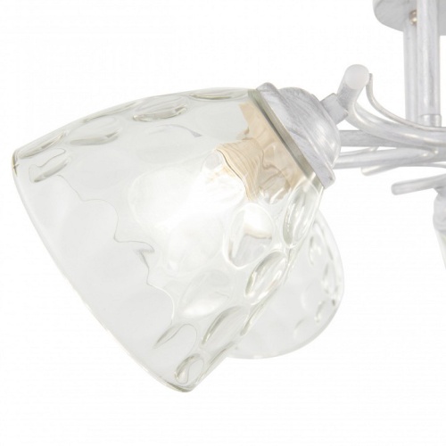 Потолочная люстра Arte Milano Napoli-6820 338756/5 WT+SL в Нижнем Новгороде фото 4