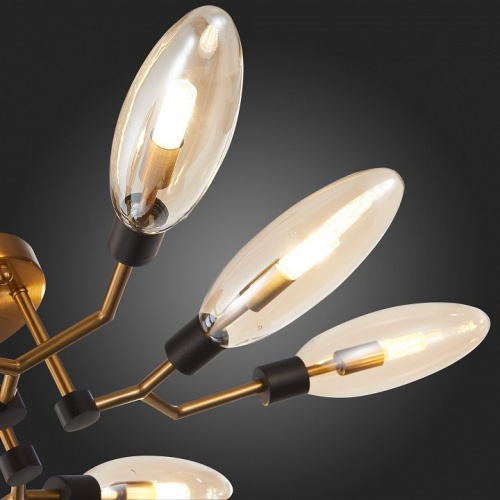 Потолочная люстра ST-Luce Desima SL1174.302.08 в Нижнем Новгороде фото 7