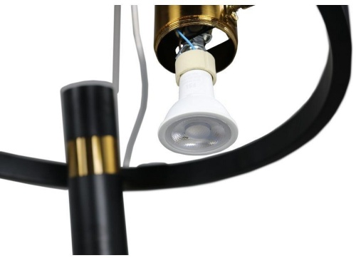 Подвесная люстра Zortes Tweeny ZRS.1828.50 в Нижнем Новгороде фото 12