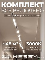 Комплект трековый Hesby Lighting Skylite №14 HSBL_kompl_S014_VI4W3K в Нижнем Новгороде