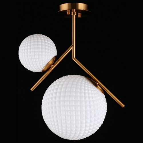 Светильник на штанге Aployt Marzena APL.300.07.02 в Нижнем Новгороде фото 7