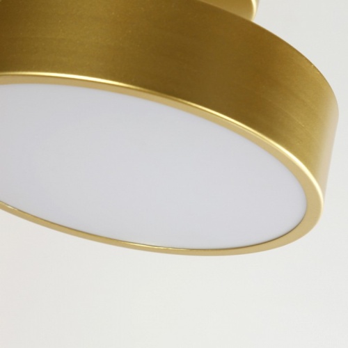 Светильник на штанге F-promo Atma 3059-2P в Нижнем Новгороде фото 5