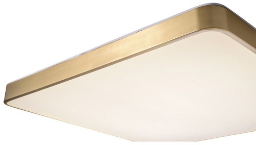 Накладной светильник Zortes Monna ZRS.1209.07 в Нижнем Новгороде фото 8