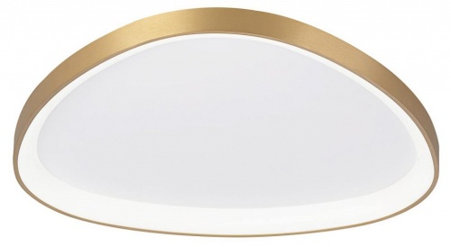 Накладной светильник Citilux GENKA SMART CL756A162 в Нижнем Новгороде фото 7