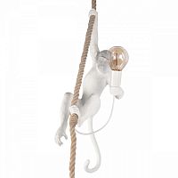 Подвесной светильник Loft it Monkey 10314P в Соколе