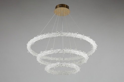 Подвесной светильник Aployt Merion APL.040.03.105 в Нижнем Новгороде фото 7