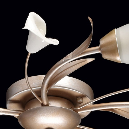 Потолочная люстра MW-Light Восторг 19 242016205 в Нижнем Новгороде фото 14