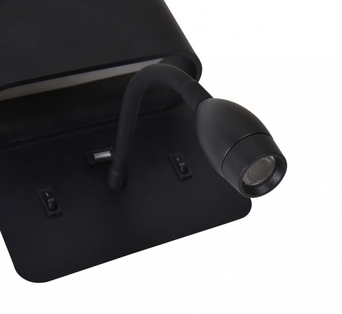 Бра с подсветкой F-promo Parret 4476-2W в Нижнем Новгороде фото 2