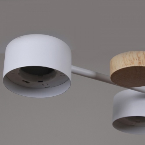 Люстра на штанге 03758-0.3-06 WT+WOOD GX53 в Нижнем Новгороде фото 3