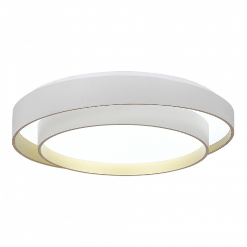 Накладной светильник EVOLUCE Crosby SLE6009-502-01 в Нижнем Новгороде фото 3