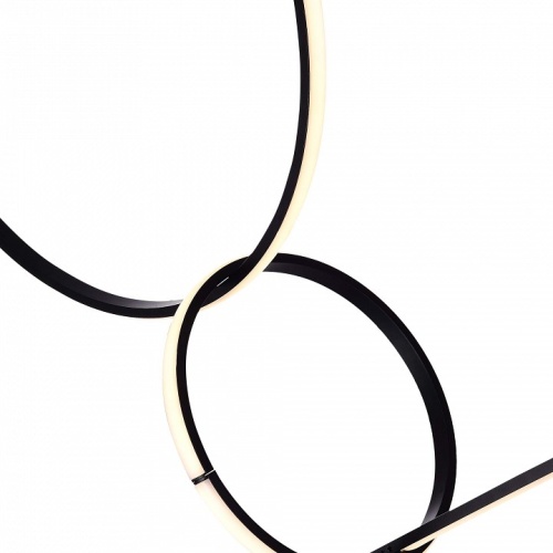 Подвесной светильник ST-Luce Gaia SL6113.433.01 в Нижнем Новгороде фото 2