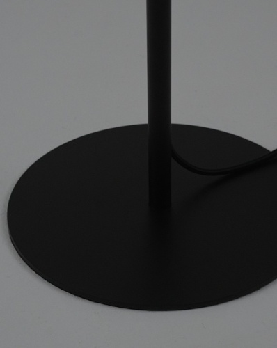 Торшер Moderli Strauss V11509-1F в Нижнем Новгороде фото 6