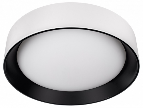 Накладной светильник Loft it Coin 10202 WB в Нижнем Новгороде