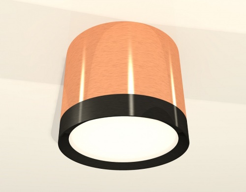 Накладной светильник Ambrella Light XS XS8122001 в Нижнем Новгороде фото 2