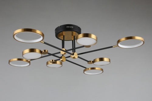 Потолочная люстра Aployt Ines APL.043.07.65 в Нижнем Новгороде фото 9
