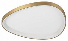 Накладной светильник Citilux GENKA SMART CL756A162 в Нижнем Новгороде