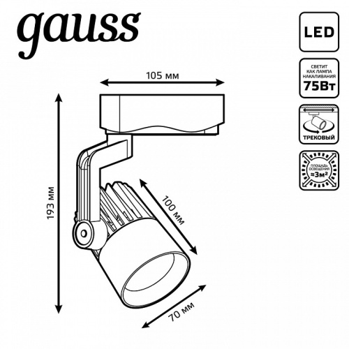 Светильник на штанге Gauss Track Light TR061 в Нижнем Новгороде фото 2