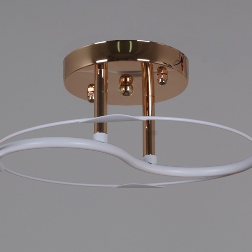 Светильник на штанге 06003-0.3-02 FG+WT в Нижнем Новгороде фото 2