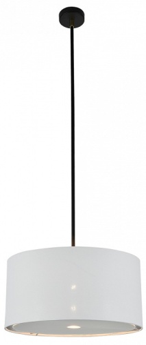 Светильник на штанге Escada Adagio 10186/1S в Нижнем Новгороде фото 5