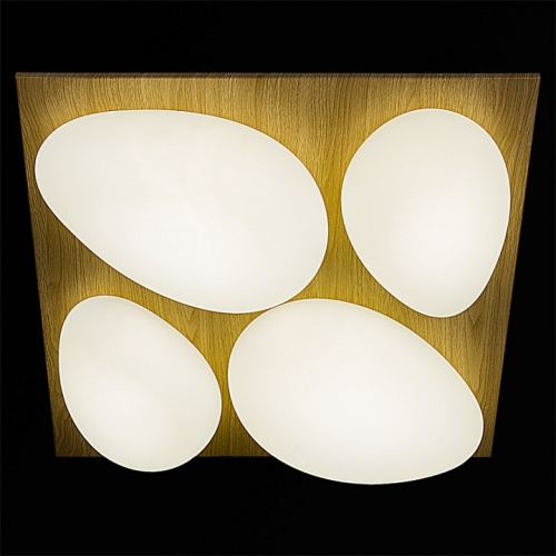 Потолочная люстра 10010-0.3-80W AEROLITE в Нижнем Новгороде фото 3