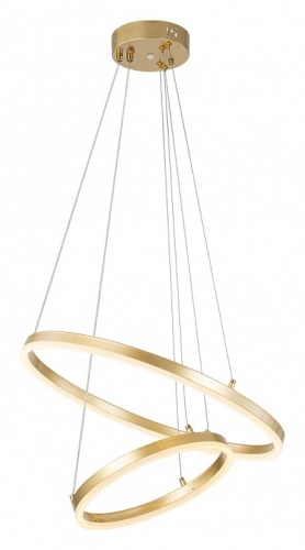 Подвесной светильник Escada Void 10254/2LED Gold APP в Нижнем Новгороде фото 3