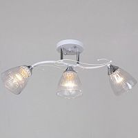Люстра на штанге  55560-0.3-03 WH+CR в Нижнем Новгороде
