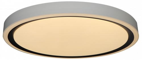 Накладной светильник Zortes Bella ZRS.1201.04 в Нижнем Новгороде фото 3