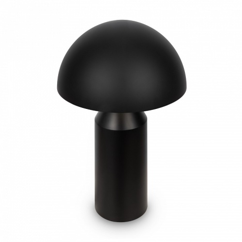 Настольная лампа декоративная Freya Eleon FR5218TL-02B1 в Нижнем Новгороде фото 8