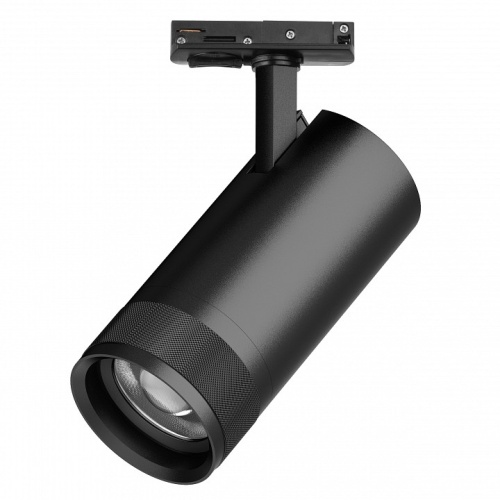 Светильник на штанге Lightstar Canno Pro C4307SS в Нижнем Новгороде фото 3