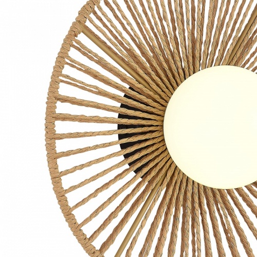 Накладной светильник EVOLUCE LOOM SLE6022-601-01 в Нижнем Новгороде фото 6