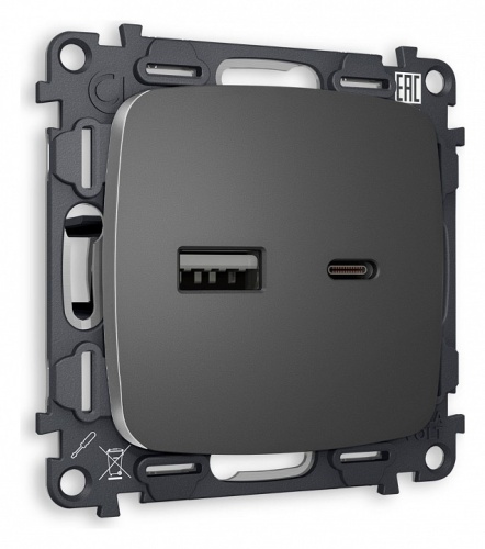 Розетка 2хUSB type A и C без рамки Ambrella Volt OMEGA MO661010 в Нижнем Новгороде