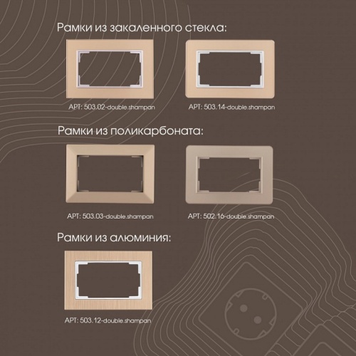 Розетка двойная с заземлением, без рамки Arte Milano am-203 203.40-2.shampan в Нижнем Новгороде фото 2