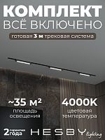 Комплект трековый Hesby Lighting Skylite №1 HSBL_kompl_S001_VI3B4K в Нижнем Новгороде