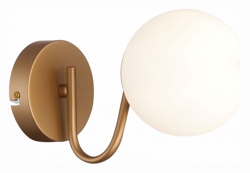 Бра EVOLUCE Calabria SLE220601-01 в Нижнем Новгороде фото 2