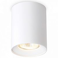 Накладной светильник Ambrella Light TN TN213136 в Нижнем Новгороде