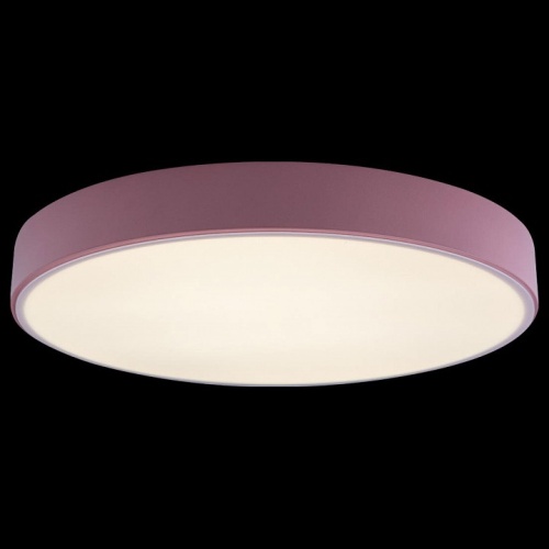Накладной светильник Loft it Axel 1 10002/24 Pink в Нижнем Новгороде фото 3