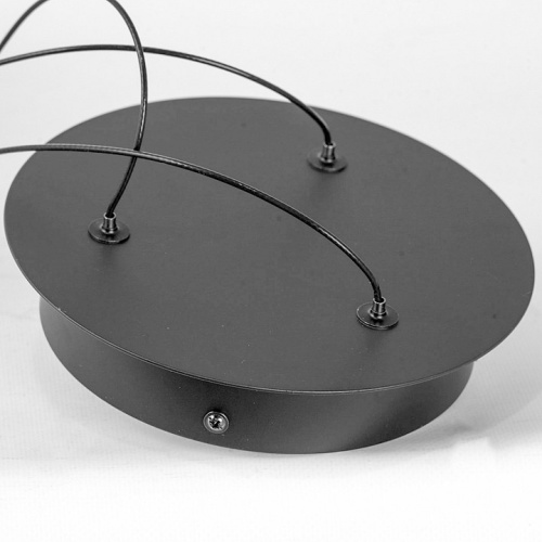 Подвесная люстра Lussole Kimble LSP-7419 в Нижнем Новгороде фото 3