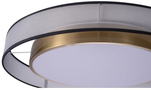 Накладной светильник Zortes Bella ZRS.27510.05 в Нижнем Новгороде фото 6