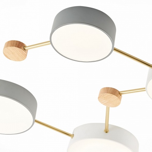 Накладной светильник EVOLUCE Dossena SLE600102-08 в Нижнем Новгороде фото 2