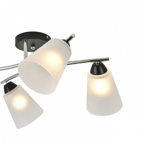 Потолочная люстра Escada Lavatera 2132/4P в Нижнем Новгороде фото 2