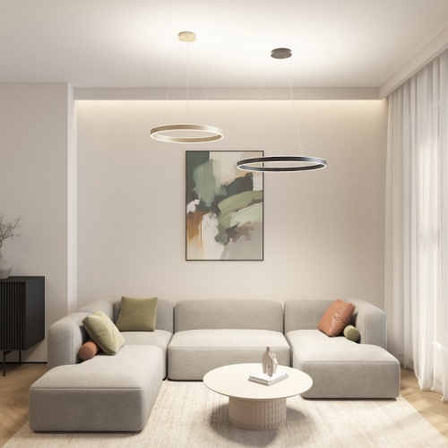 Подвесной светильник Denkirs RAYDIA DK6273-SG в Нижнем Новгороде фото 3