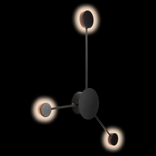 Накладной светильник Loft it Rays 10059BK в Нижнем Новгороде фото 3