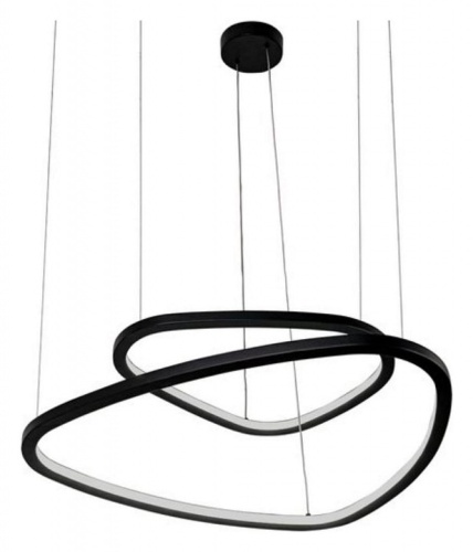 Подвесной светильник Arte Lamp Madison A2194SP-2BK в Нижнем Новгороде фото 3