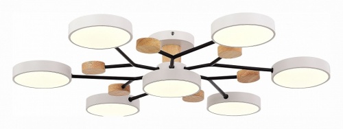 Потолочная люстра EVOLUCE Faema SLE6006-502-07 в Нижнем Новгороде фото 5