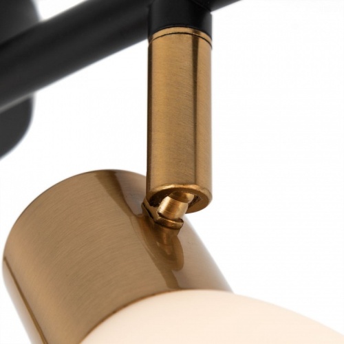 Спот Arte Lamp Falena A3117PL-4BK в Нижнем Новгороде фото 2