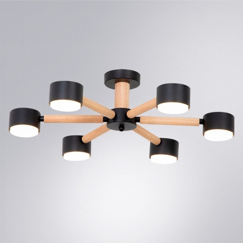 Потолочная люстра Arte Lamp TENDA A1624PL-6BK в Нижнем Новгороде фото 2