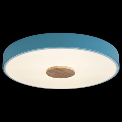 Накладной светильник Loft it Axel 2 10003/24 Blue в Нижнем Новгороде фото 4