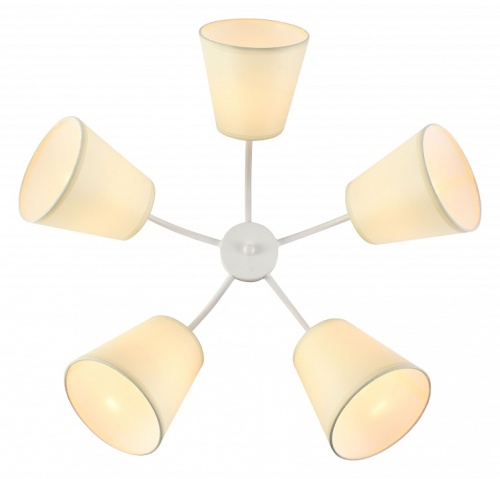 Потолочная люстра Rivoli Aimee Б0059972 в Нижнем Новгороде фото 5