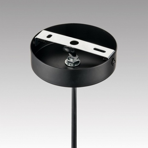 Подвесной светильник Lumion PALERMO 8281/4 в Нижнем Новгороде фото 3